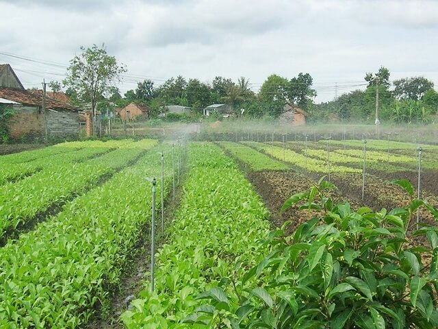 Hệ thống tưới phun mưa tại Gia Lai 