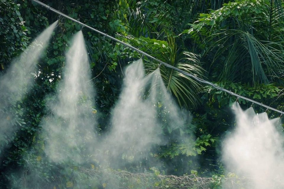 Hệ thống tưới phun sương tại Gia Lai 