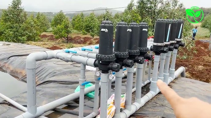 Hệ thống tưới tự động tại Gia Lai