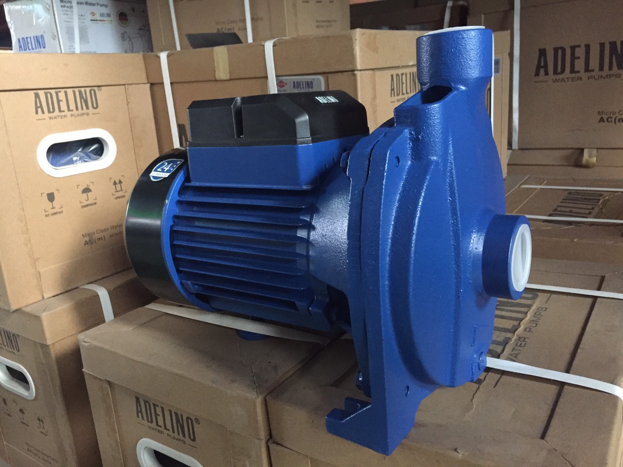 Máy bơm nước 1 pha 1 HP ACm75