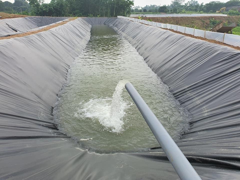 Bạt lót hồ HDPE