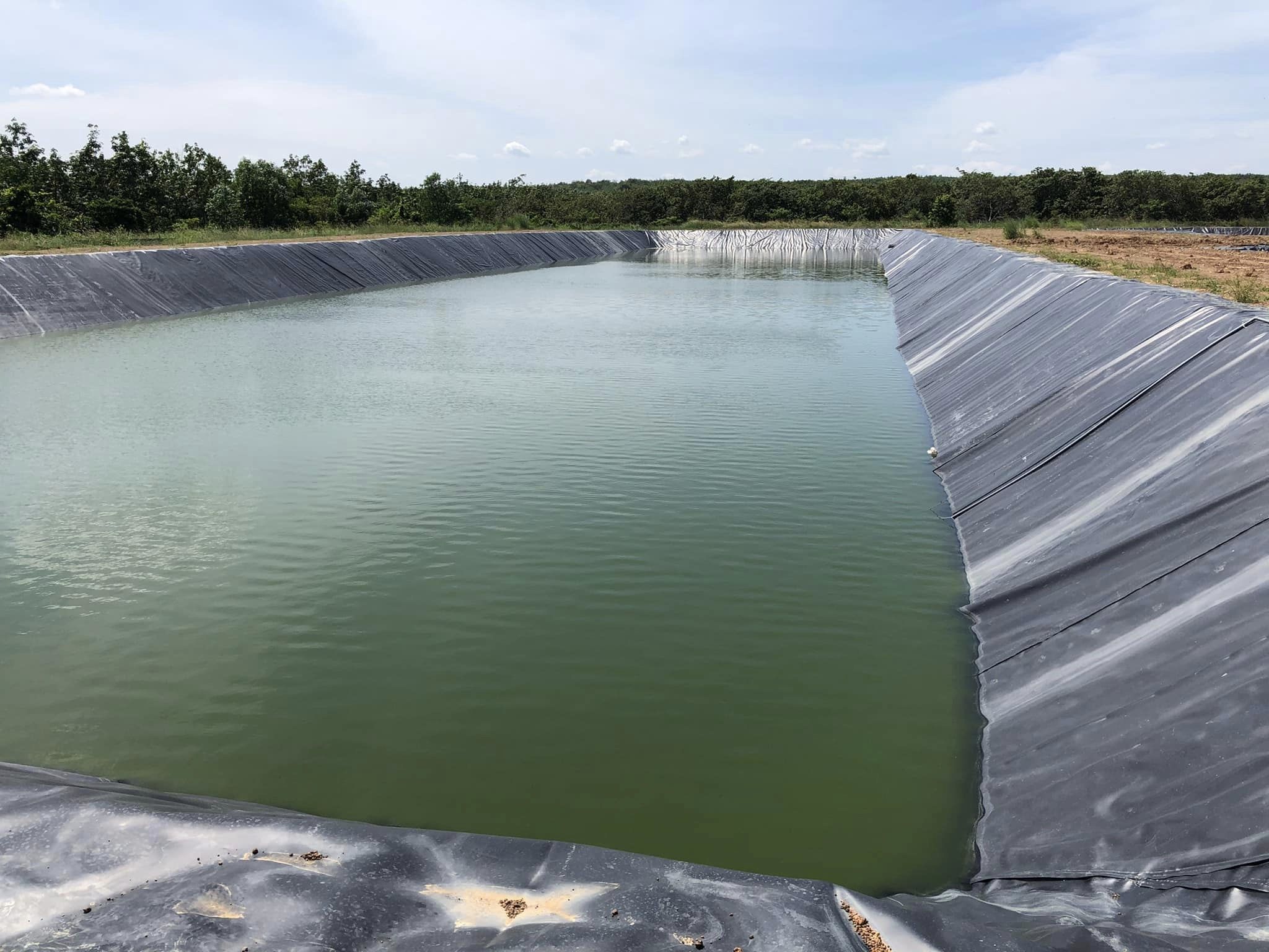 Bạt lót hồ HDPE