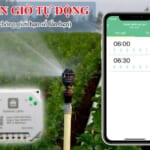 cong tắc thông minh lahu
